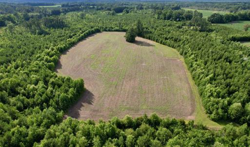 Photo #20 of 85± Acres - Muddy Creek Rd., Johnsonville, SC 85.0 acres