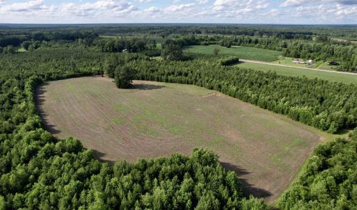 Photo #16 of 85± Acres - Muddy Creek Rd., Johnsonville, SC 85.0 acres