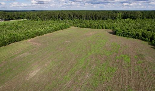 Photo #19 of 85± Acres - Muddy Creek Rd., Johnsonville, SC 85.0 acres