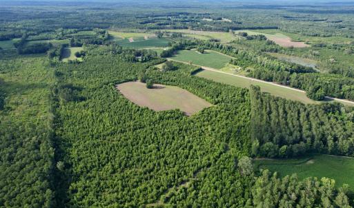 Photo #15 of 85± Acres - Muddy Creek Rd., Johnsonville, SC 85.0 acres