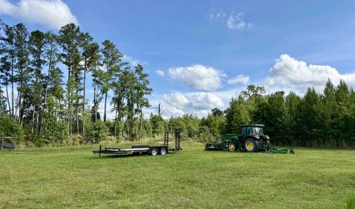 Photo #2 of 85± Acres - Muddy Creek Rd., Johnsonville, SC 85.0 acres