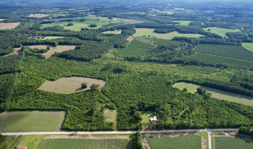 Photo #22 of 85± Acres - Muddy Creek Rd., Johnsonville, SC 85.0 acres