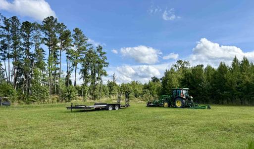 Photo #2 of 85± Acres - Muddy Creek Rd., Johnsonville, SC 85.0 acres