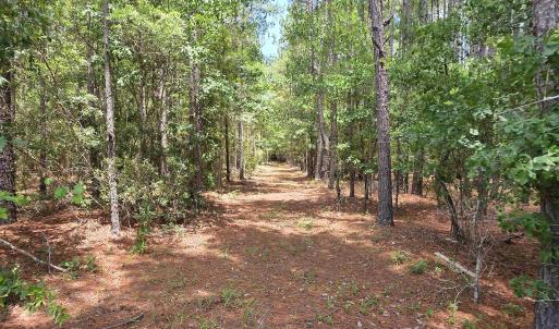 Photo #13 of 3435 Highway 430, Nichols, SC 3.1 acres