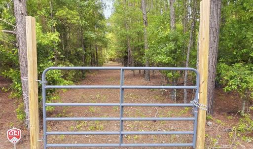 Photo #3 of 3435 Highway 430, Nichols, SC 3.1 acres