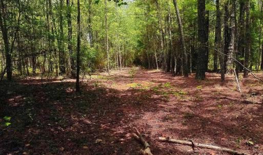 Photo #10 of 3435 Highway 430, Nichols, SC 3.1 acres