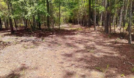Photo #7 of 3435 Highway 430, Nichols, SC 3.1 acres