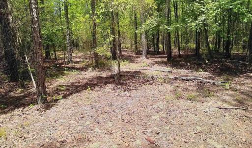 Photo #8 of 3435 Highway 430, Nichols, SC 3.1 acres