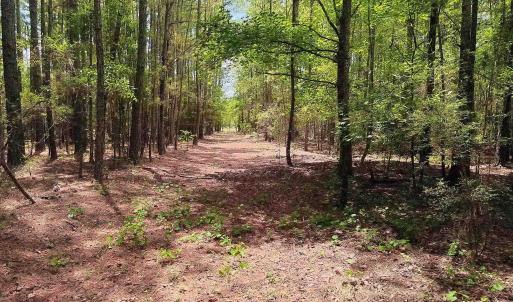 Photo #12 of 3435 Highway 430, Nichols, SC 3.1 acres