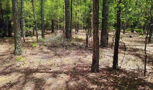 Photo #6 of 3435 Highway 430, Nichols, SC 3.1 acres