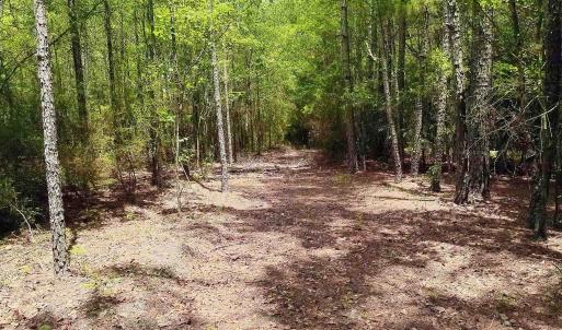 Photo #11 of 3435 Highway 430, Nichols, SC 3.1 acres