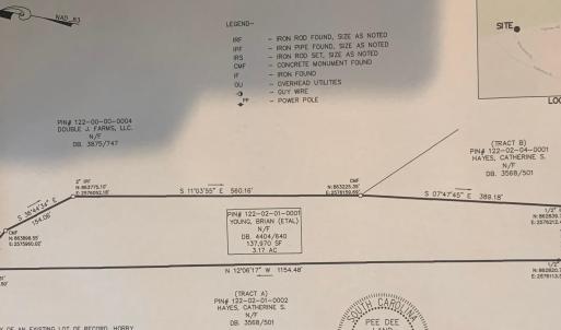Photo #4 of 3435 Highway 430, Nichols, SC 3.1 acres