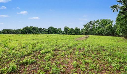 Photo #8 of TBD Mitchell Sea Rd., Green Sea, SC 49.0 acres