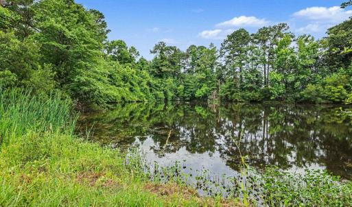 Photo #10 of TBD Mitchell Sea Rd., Green Sea, SC 49.0 acres