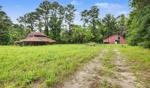Photo #6 of TBD Mitchell Sea Rd., Green Sea, SC 49.0 acres