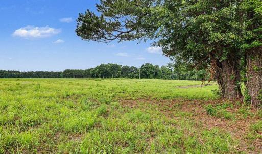 Photo #7 of TBD Mitchell Sea Rd., Green Sea, SC 49.0 acres