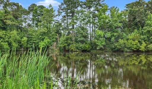 Photo #11 of TBD Mitchell Sea Rd., Green Sea, SC 49.0 acres