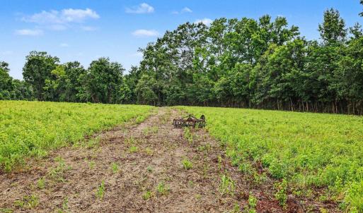Photo #9 of TBD Mitchell Sea Rd., Green Sea, SC 49.0 acres