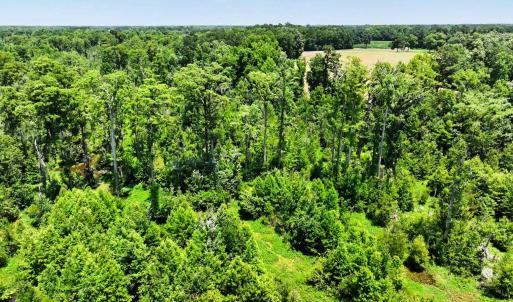 Photo #20 of TBD Mitchell Sea Rd., Green Sea, SC 49.0 acres