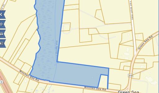 Photo #25 of TBD Mitchell Sea Rd., Green Sea, SC 49.0 acres