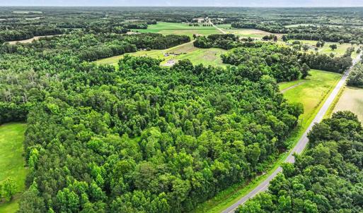 Photo #21 of TBD Mitchell Sea Rd., Green Sea, SC 49.0 acres