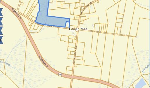 Photo #26 of TBD Mitchell Sea Rd., Green Sea, SC 49.0 acres