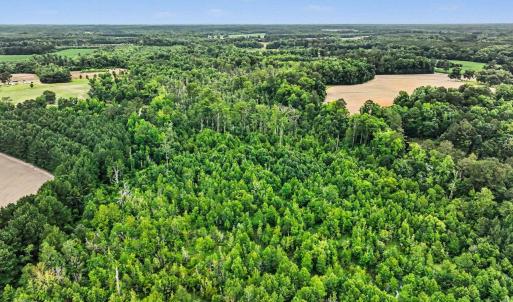 Photo #22 of TBD Mitchell Sea Rd., Green Sea, SC 49.0 acres
