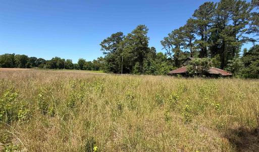 Photo #1 of TBD Mitchell Sea Rd., Green Sea, SC 49.0 acres
