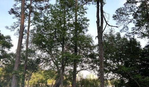 Photo #9 of TBD Charlotte Rd., Myrtle Beach, SC 0.5 acres