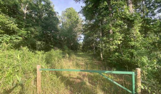 Photo #12 of 9842 Ocean Hwy., Pawleys Island, SC 5.6 acres