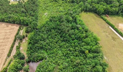 Photo #9 of Lot 4 Sheila Dr., Johnsonville, SC 7.1 acres