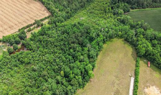 Photo #11 of Lot 4 Sheila Dr., Johnsonville, SC 7.1 acres