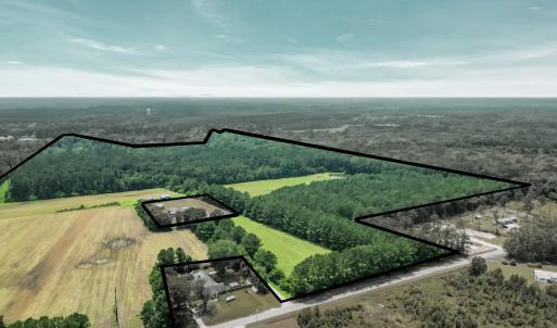 Photo #8 of 425 Kent Rd., Georgetown, SC 72.0 acres
