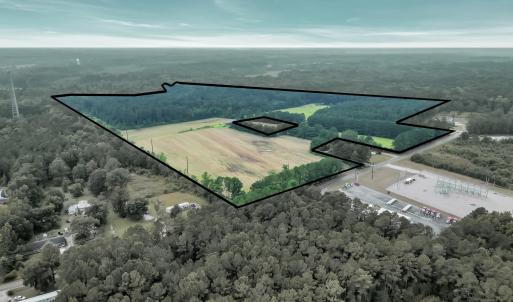 Photo #7 of 425 Kent Rd., Georgetown, SC 72.0 acres