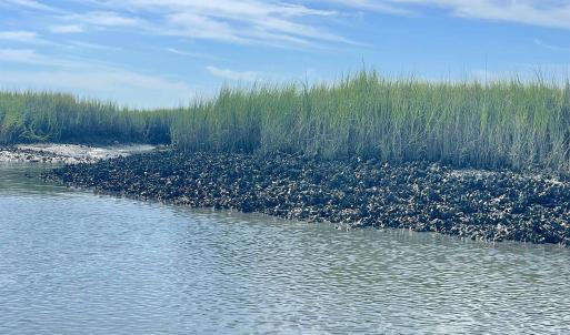 Photo #38 of 7 Smith Blvd., Myrtle Beach, SC 0.5 acres