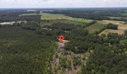 Photo #9 of TBD Hope Ct, Gresham, SC 1.2 acres