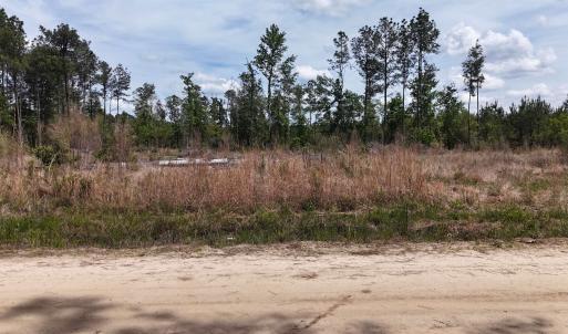 Photo #4 of TBD Hope Ct, Gresham, SC 1.2 acres