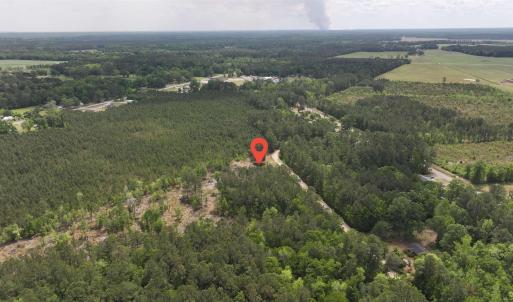 Photo #13 of TBD Hope Ct, Gresham, SC 1.2 acres