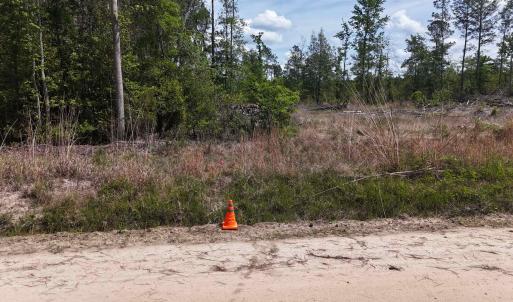 Photo #6 of TBD Hope Ct, Gresham, SC 1.2 acres