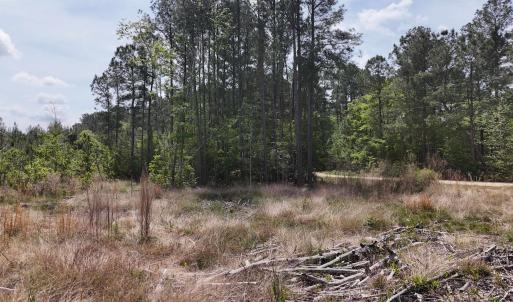 Photo #3 of TBD Hope Ct, Gresham, SC 1.2 acres