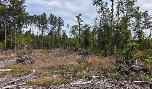 Photo #5 of TBD Hope Ct, Gresham, SC 1.2 acres
