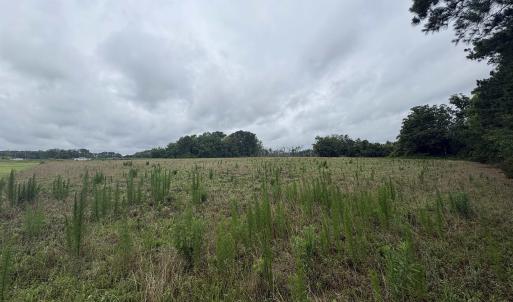 Photo #6 of TBD Coney Dr., Longs, SC 4.6 acres