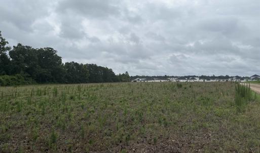 Photo #7 of TBD Coney Dr., Longs, SC 4.6 acres