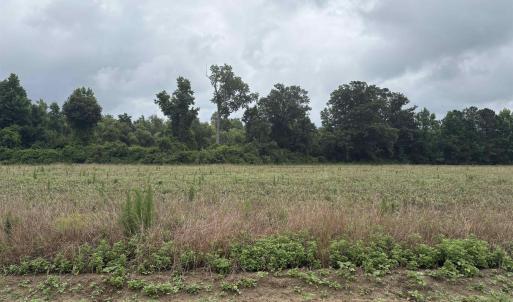 Photo #2 of TBD Coney Dr., Longs, SC 4.6 acres