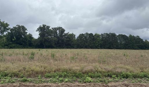 Photo #4 of TBD Coney Dr., Longs, SC 4.6 acres