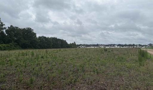 Photo #7 of TBD Coney Dr., Longs, SC 4.6 acres