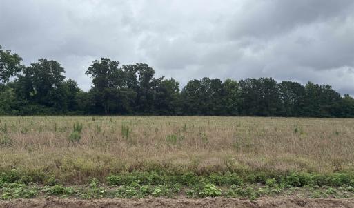Photo #4 of TBD Coney Dr., Longs, SC 4.6 acres