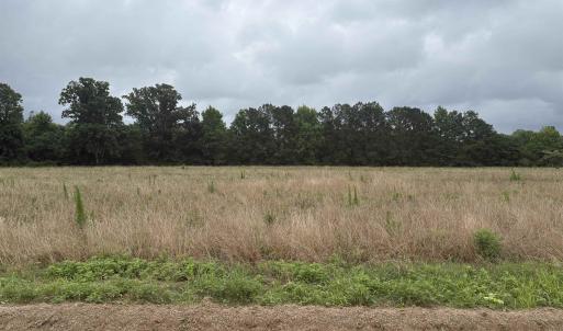 Photo #5 of TBD Coney Dr., Longs, SC 4.6 acres