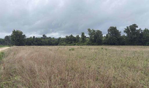Photo #1 of TBD Coney Dr., Longs, SC 4.6 acres
