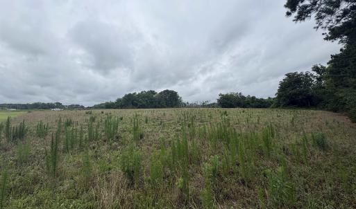 Photo #6 of TBD Coney Dr., Longs, SC 4.6 acres